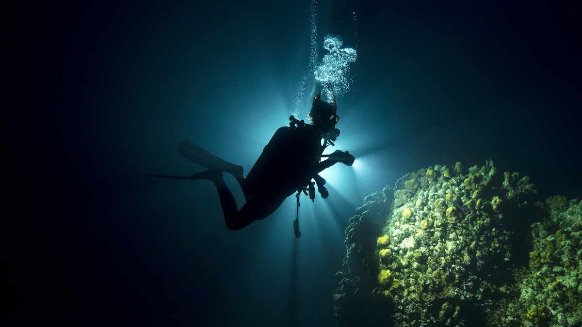 Tauchen in Thailand - PADI Nachttauchen auf Koh Tao
