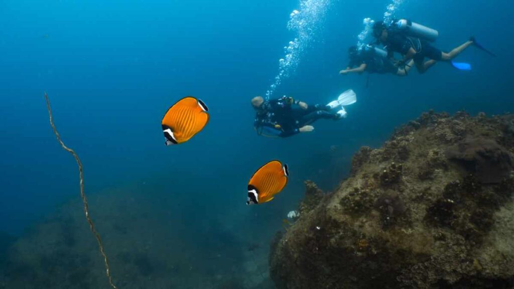 Laem Thian-Tauchplatz Koh Tao- Tauchen in Thailand