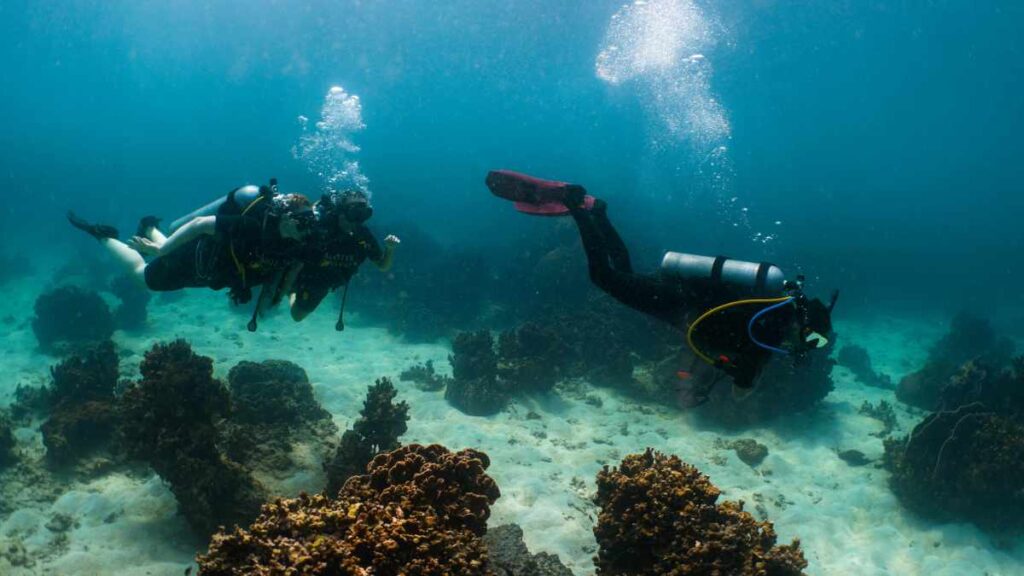 Lighthouse-Tauchplatz Koh Tao- Tauchen in Thailand