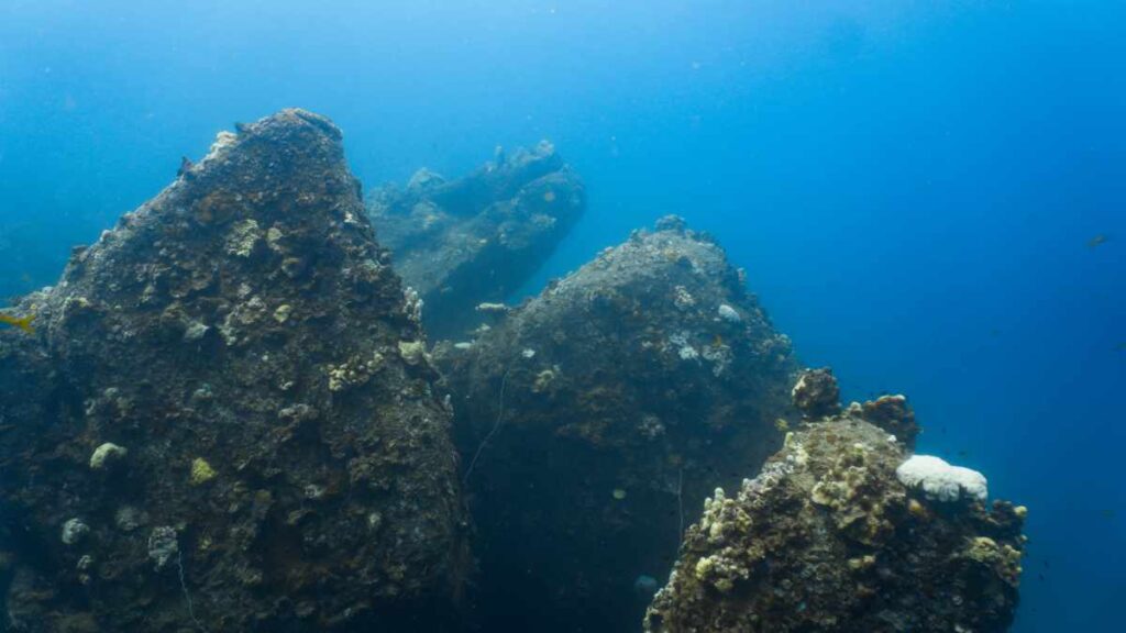 No Name Pinnacle-Tauchplatz Koh Tao- Tauchen in Thailand